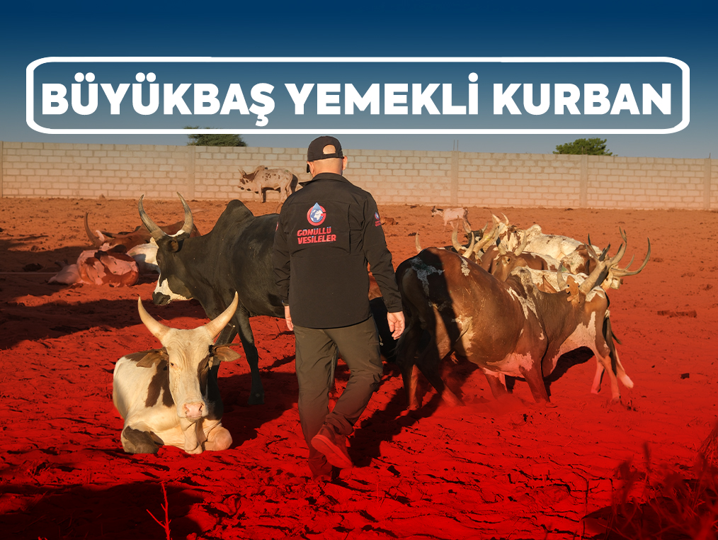Yemekli Kurban Büyükbaş